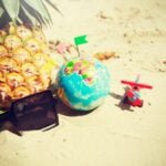 alt="Picture of Globe toy plane and pineapple of the beach"