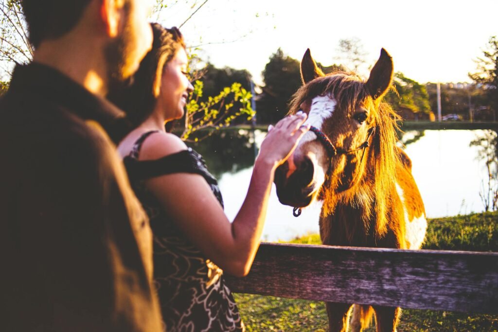 alt="Picture of Woman touching horse"