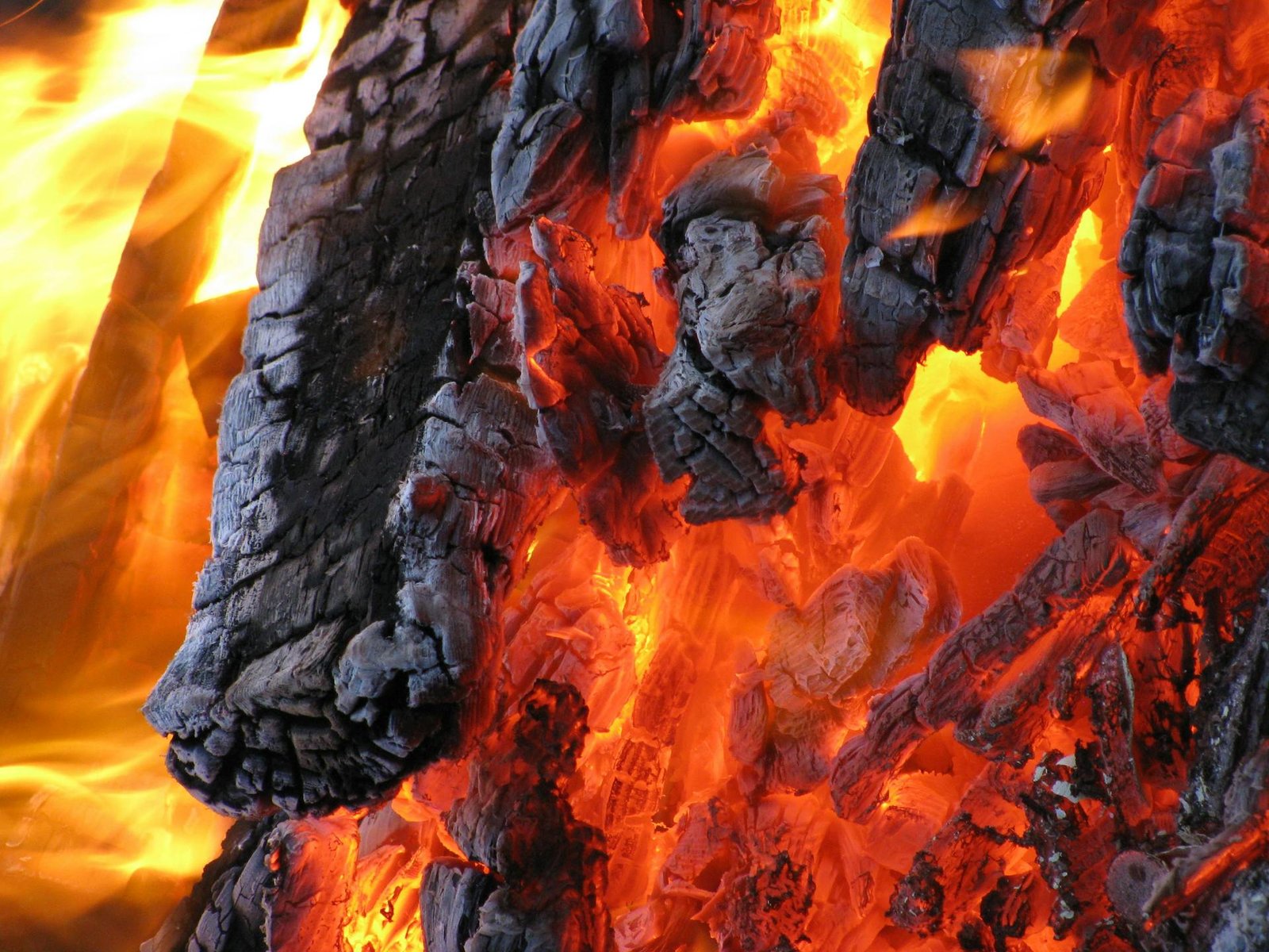 alt=”Image of Burning wood and charcoal”