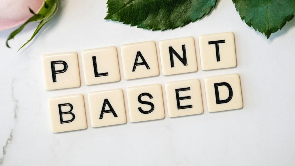 alt="Image of Wooden blocks with plant based written on"