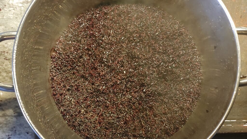 alt="Monitoring Black Rice"