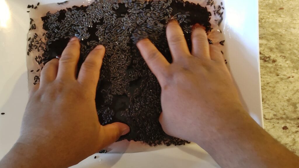 alt="Washing Black Rice"