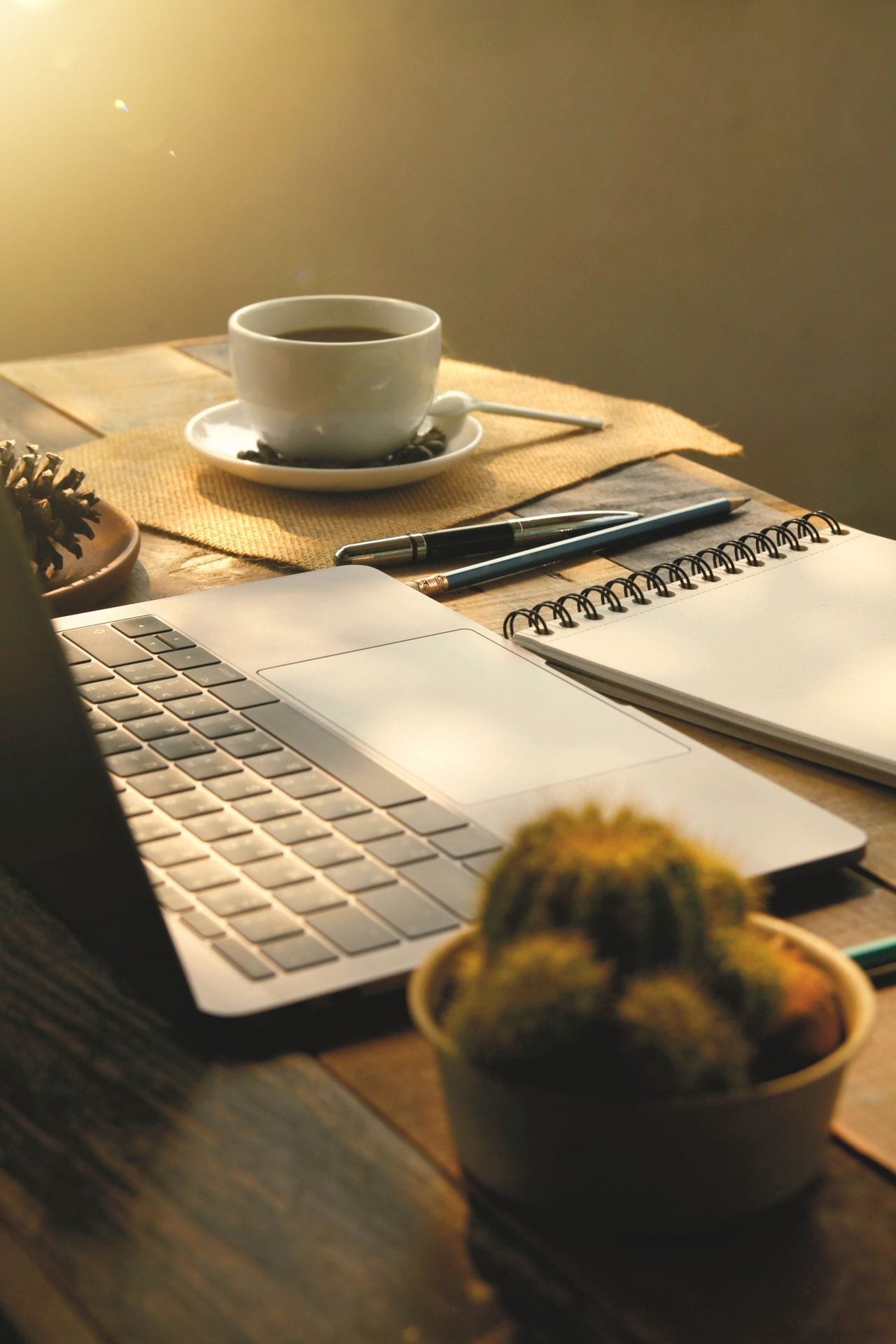 alt="Laptop, notebook, coffee and plant"